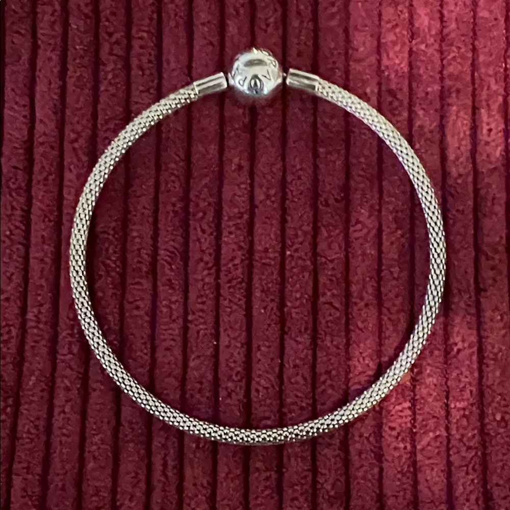 Pandora Silver Mesh Bracelet